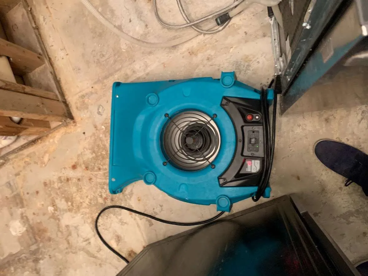 Air mover drying equipment for Mold Remediation & Removal in Downey