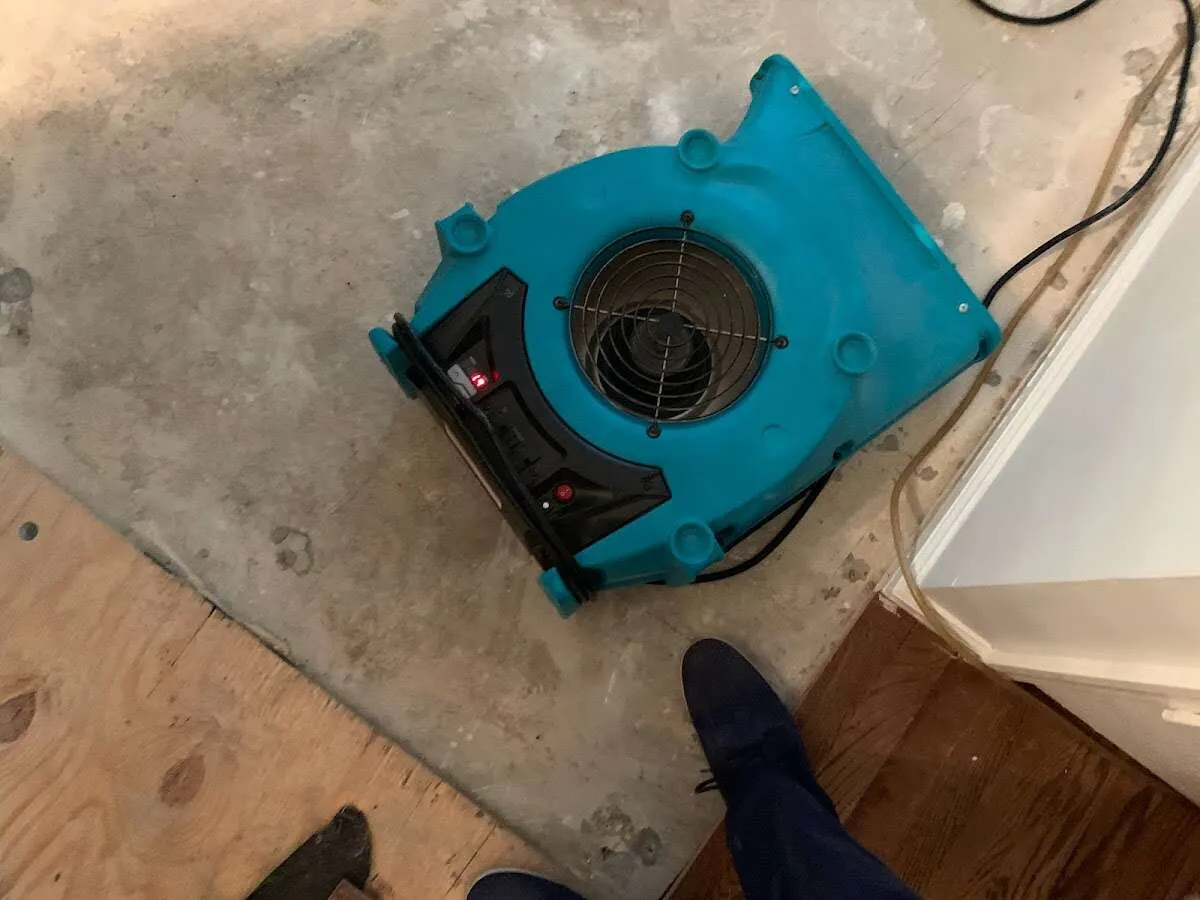 Air mover drying subfloor during Commercial Water Damage Restoration in Downey